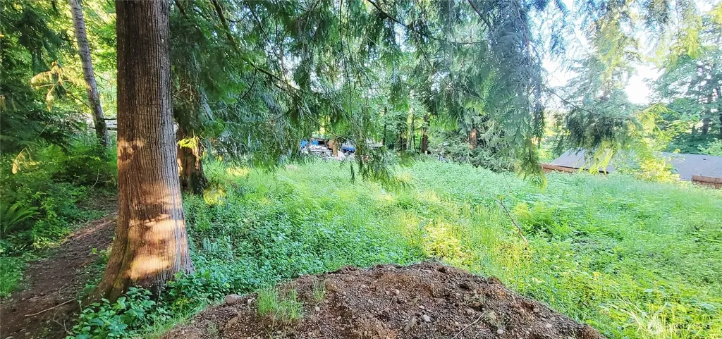 1810 Mason Street Shelton WA 98584