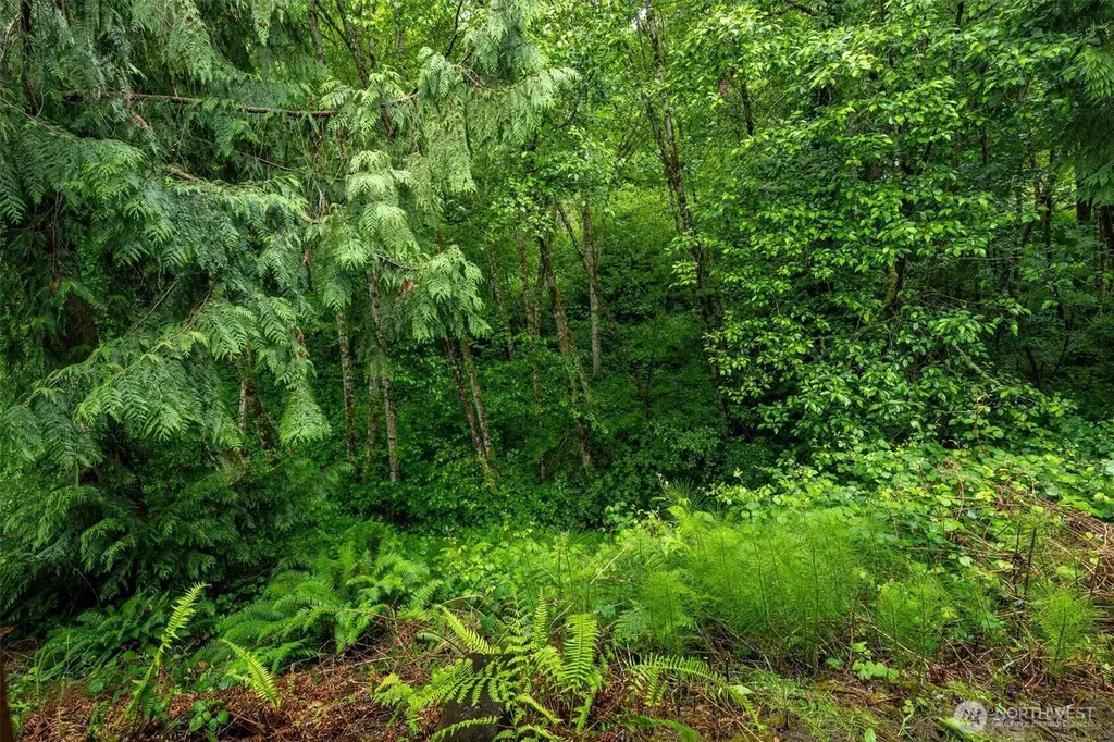 8 Ammons Lane Longview WA 98632