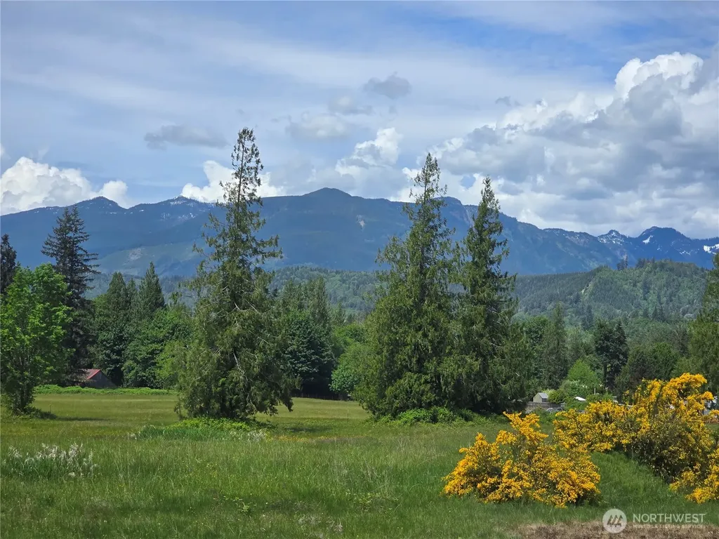 46149 Baker Drive Concrete WA 98237