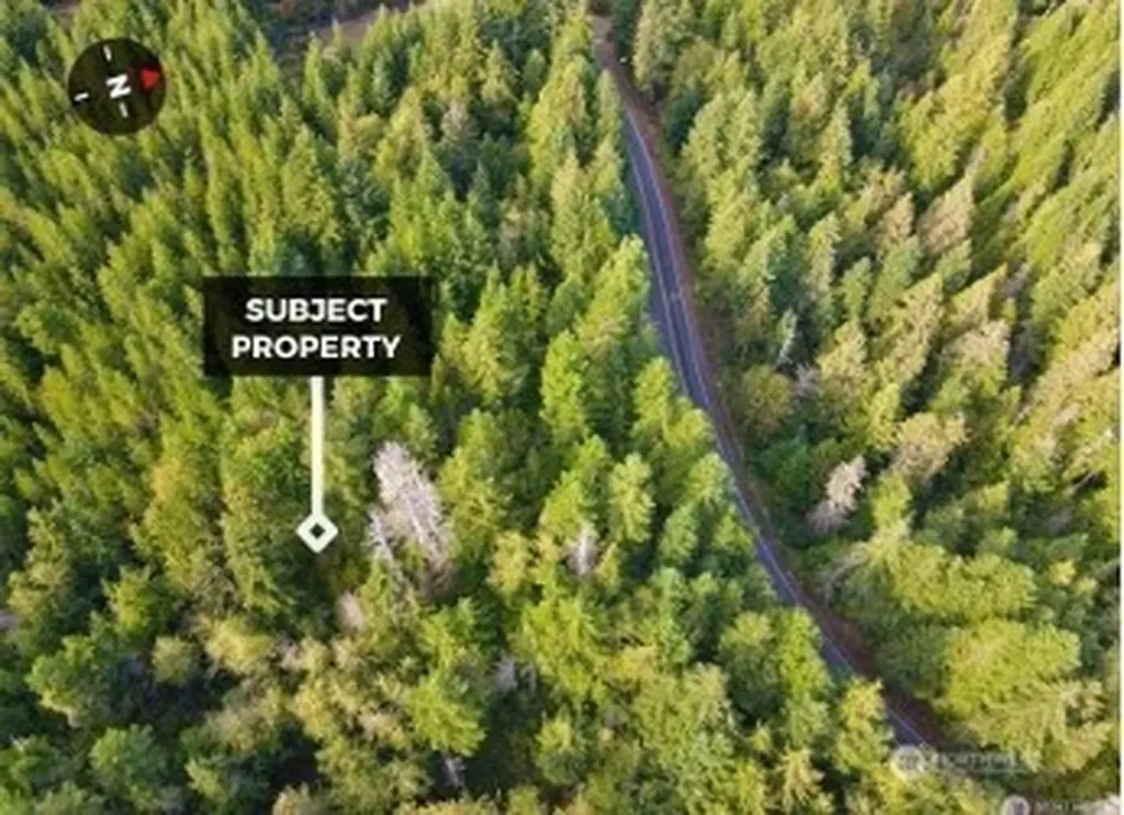 1085 N Lake Cushman Road Hoodsport WA 98548