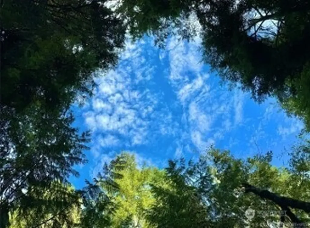 1085 N Lake Cushman Road Hoodsport WA 98548