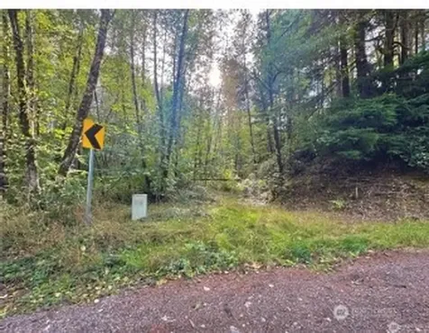 1085 N Lake Cushman Road Hoodsport WA 98548