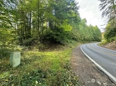 1085 N Lake Cushman Road Hoodsport WA 98548