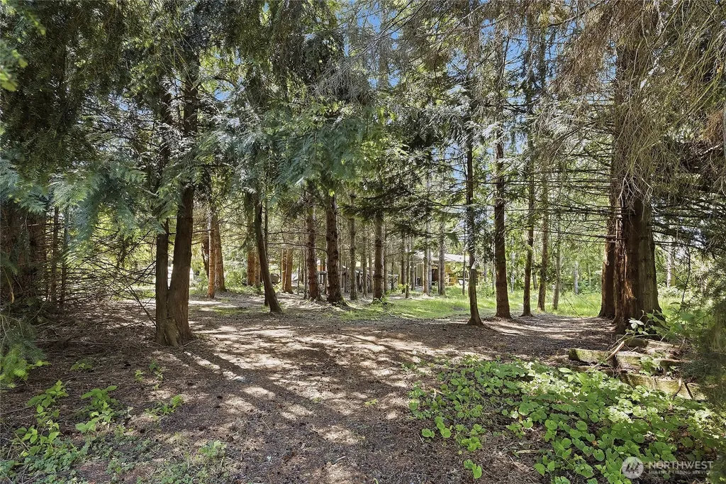 16227 Forty Five Road Arlington WA 98223