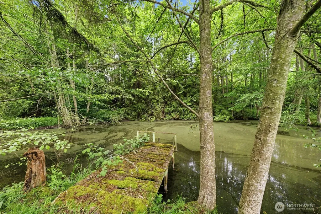62 Roupe Road Sequim WA 98382