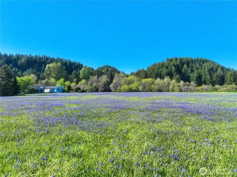 4531 Old Military Road SE Tenino WA 98589