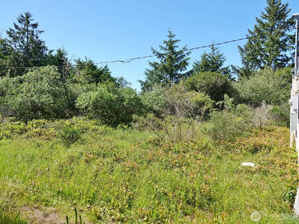307 Pt Brown Avenue SW Ocean Shores WA 98569