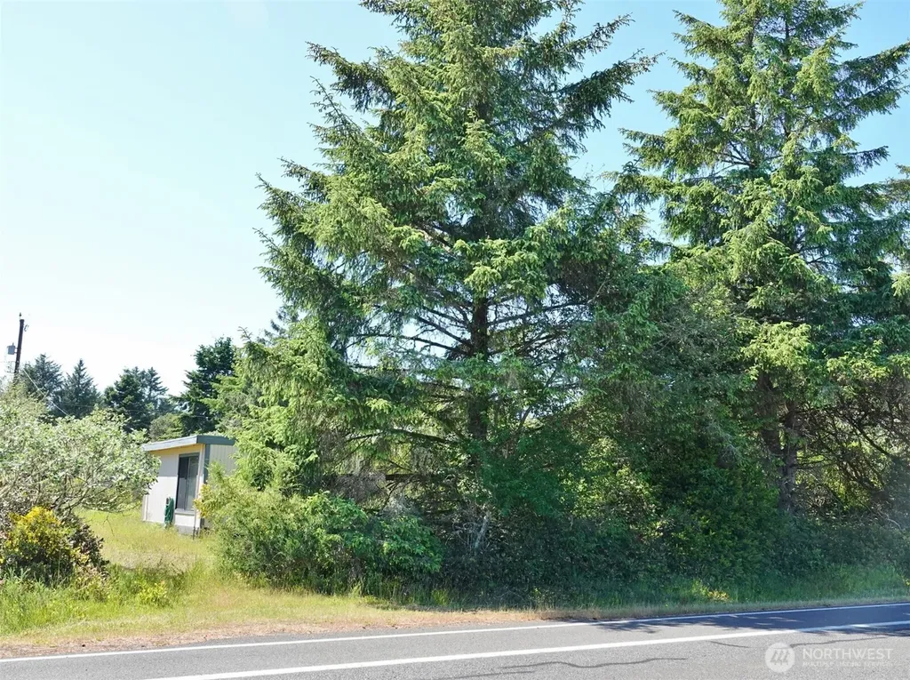 307 Pt Brown Avenue SW Ocean Shores WA 98569