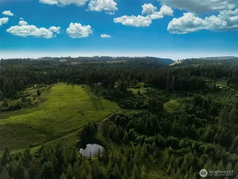 1335 Payne Hollow Road Dayton WA 99328