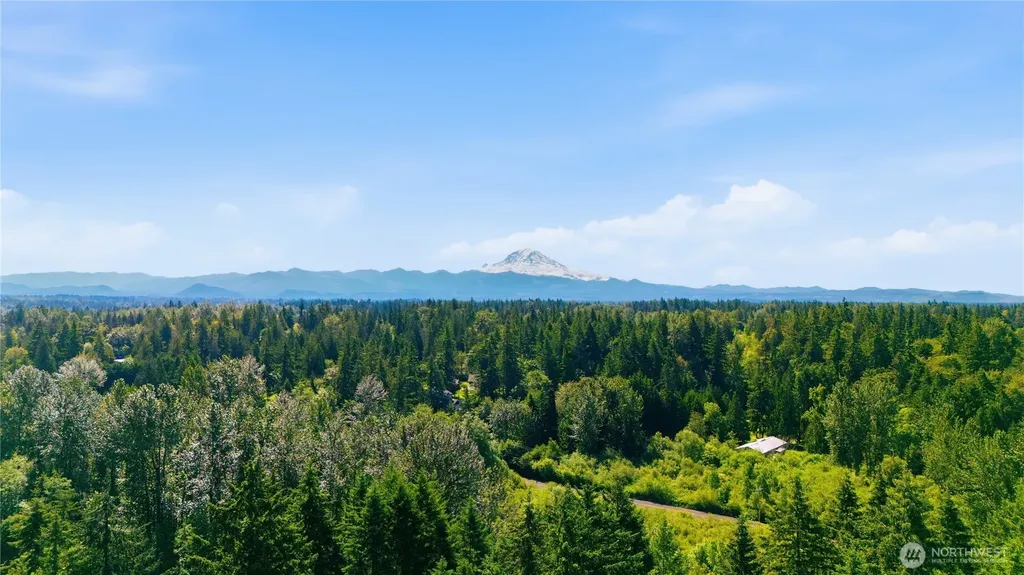 217 197th Avenue Ct E Bonney Lake WA 98391