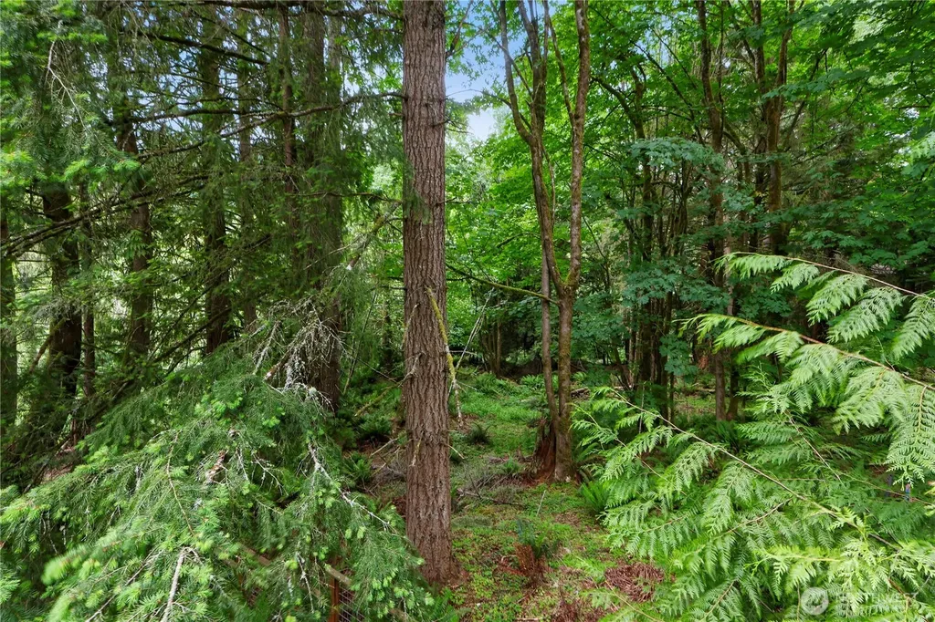 140 Windward Drive Bellingham WA 98229