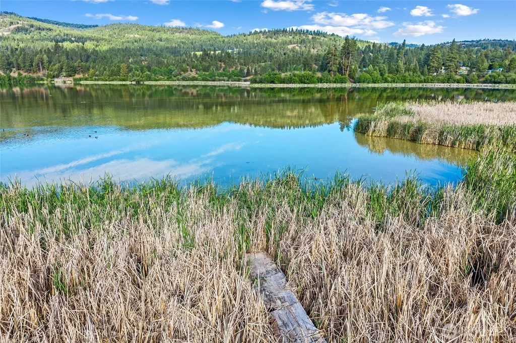 8 Mallard Lane Republic WA 99166