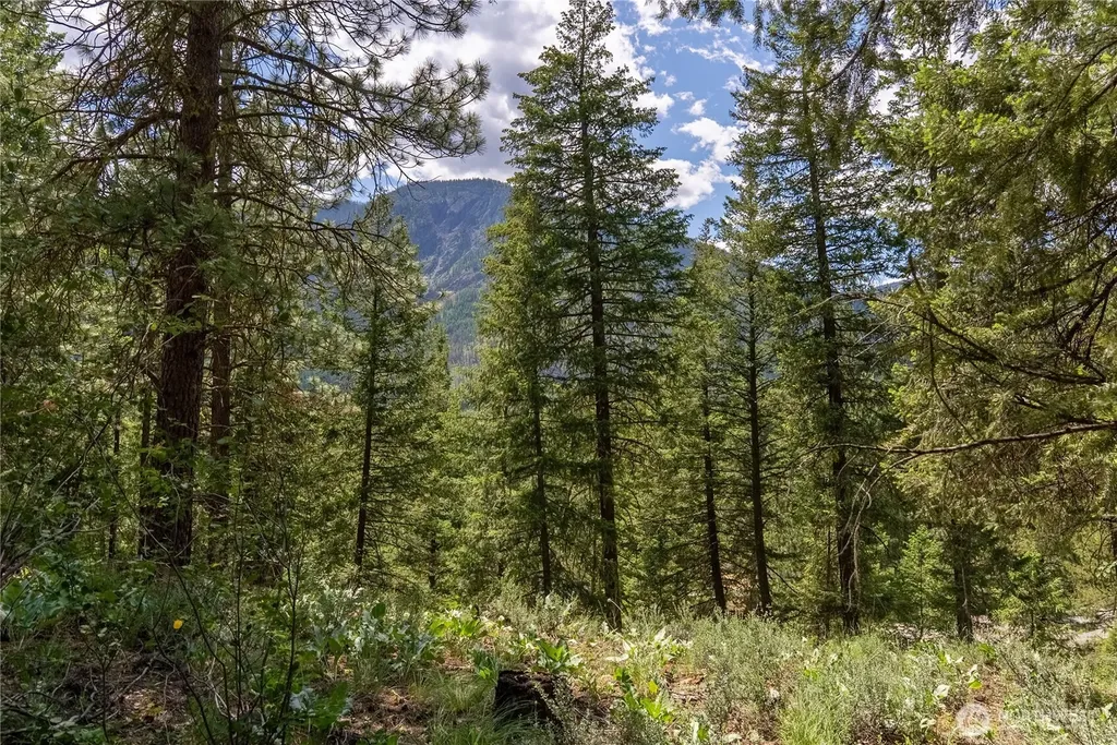 6 Homestead Road Winthrop WA 98862