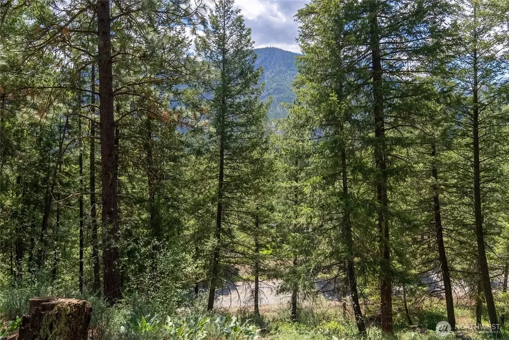 6 Homestead Road Winthrop WA 98862