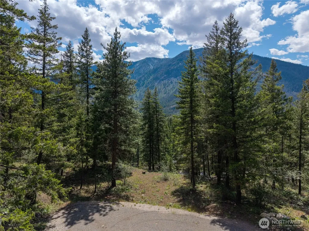 6 Homestead Road Winthrop WA 98862