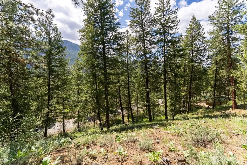 6 Homestead Road Winthrop WA 98862
