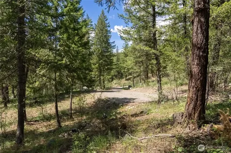 6 Homestead Road Winthrop WA 98862