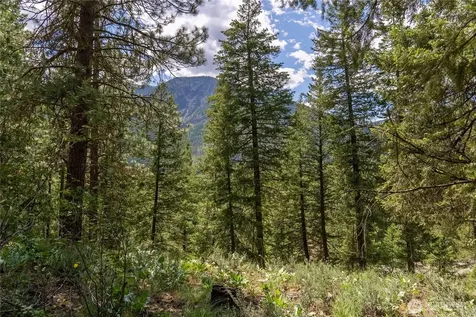 6 Homestead Road Winthrop WA 98862
