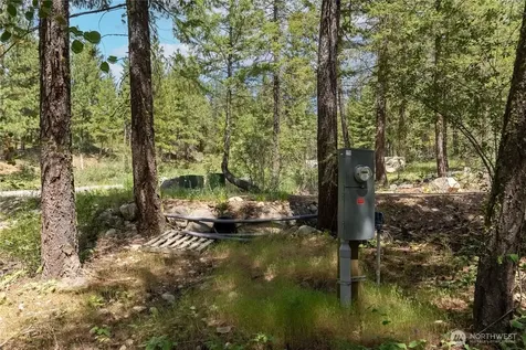 6 Homestead Road Winthrop WA 98862