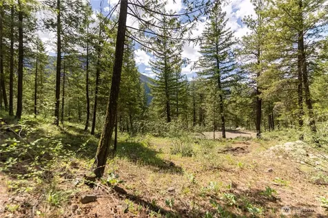 6 Homestead Road Winthrop WA 98862