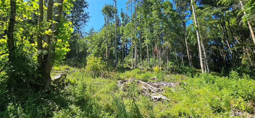 222 Triangle Cove Lane Camano Island WA 98282
