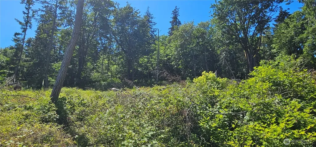 222 Triangle Cove Lane Camano Island WA 98282