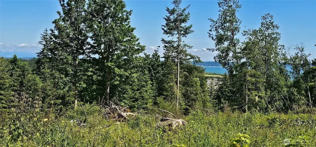 222 Triangle Cove Lane Camano Island WA 98282