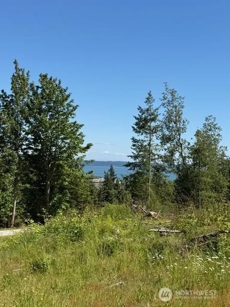 222 Triangle Cove Lane Camano Island WA 98282