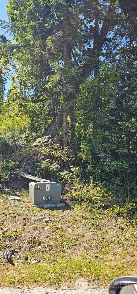 222 Triangle Cove Lane Camano Island WA 98282