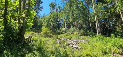 222 Triangle Cove Lane Camano Island WA 98282