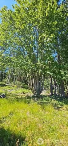 222 Triangle Cove Lane Camano Island WA 98282