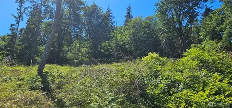 222 Triangle Cove Lane Camano Island WA 98282