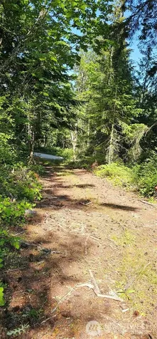222 Triangle Cove Lane Camano Island WA 98282