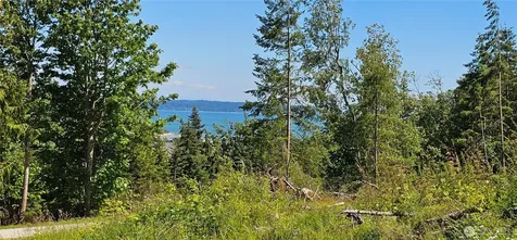 222 Triangle Cove Lane Camano Island WA 98282