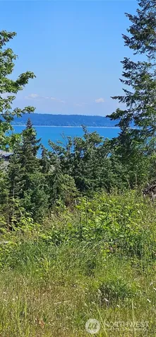 222 Triangle Cove Lane Camano Island WA 98282