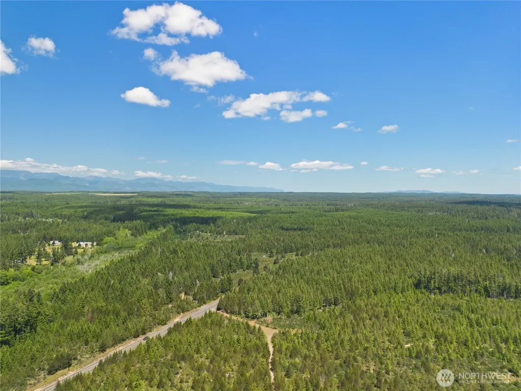 70 E Sycamore Place Shelton WA 98584