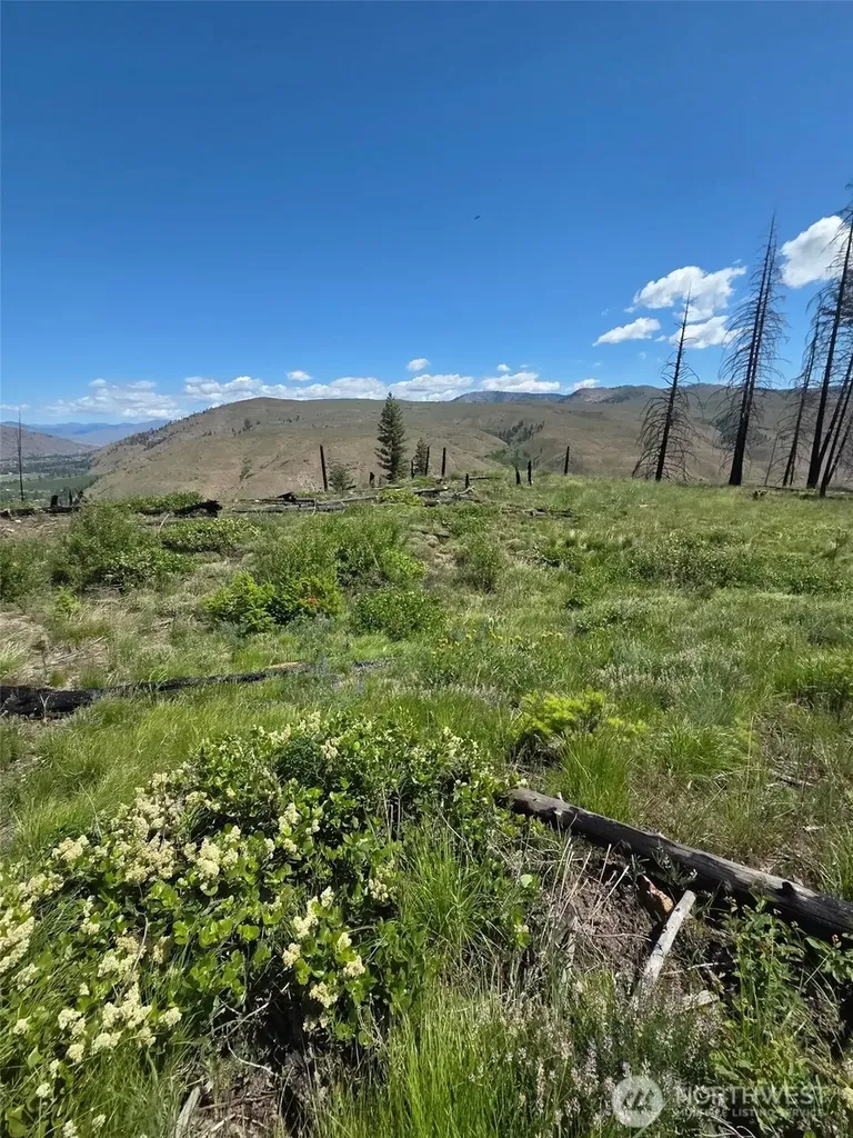 0 Golden Creek Loop Road Carlton WA 98814