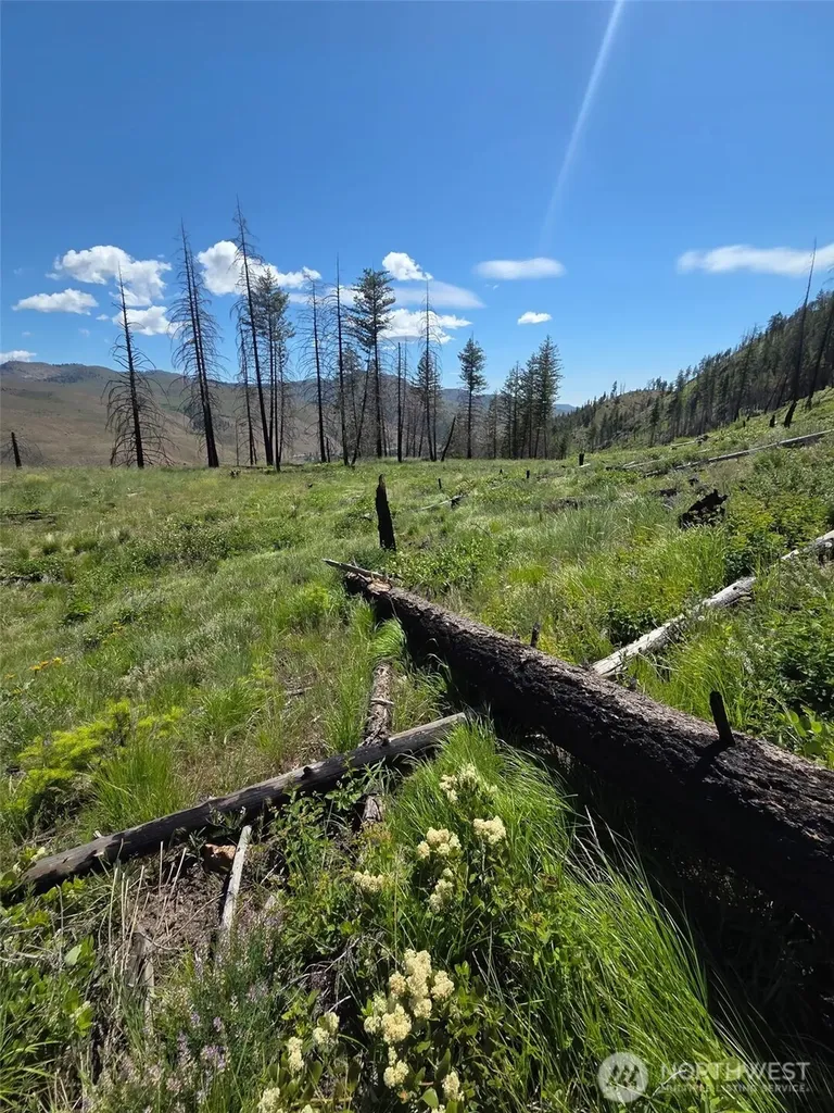 0 Golden Creek Loop Road Carlton WA 98814