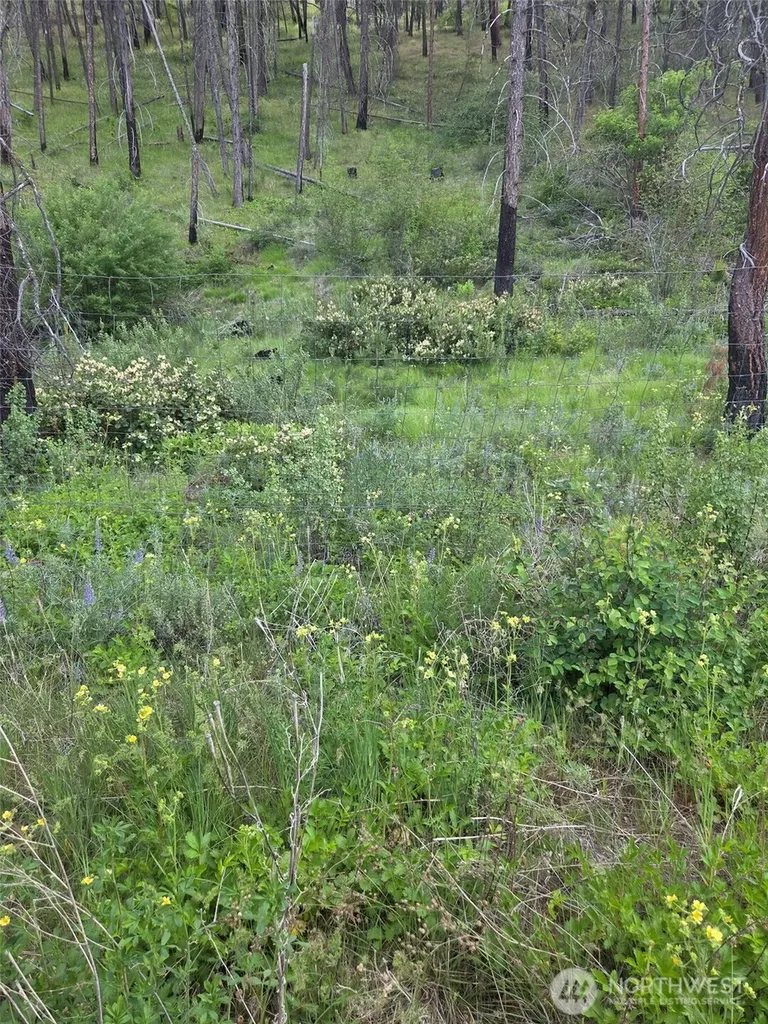 0 Golden Creek Loop Road Carlton WA 98814