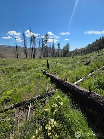 0 Golden Creek Loop Road Carlton WA 98814