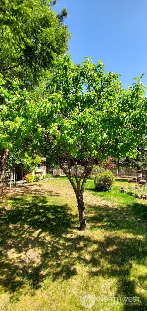 223 Goldenpine Goldendale WA 98620