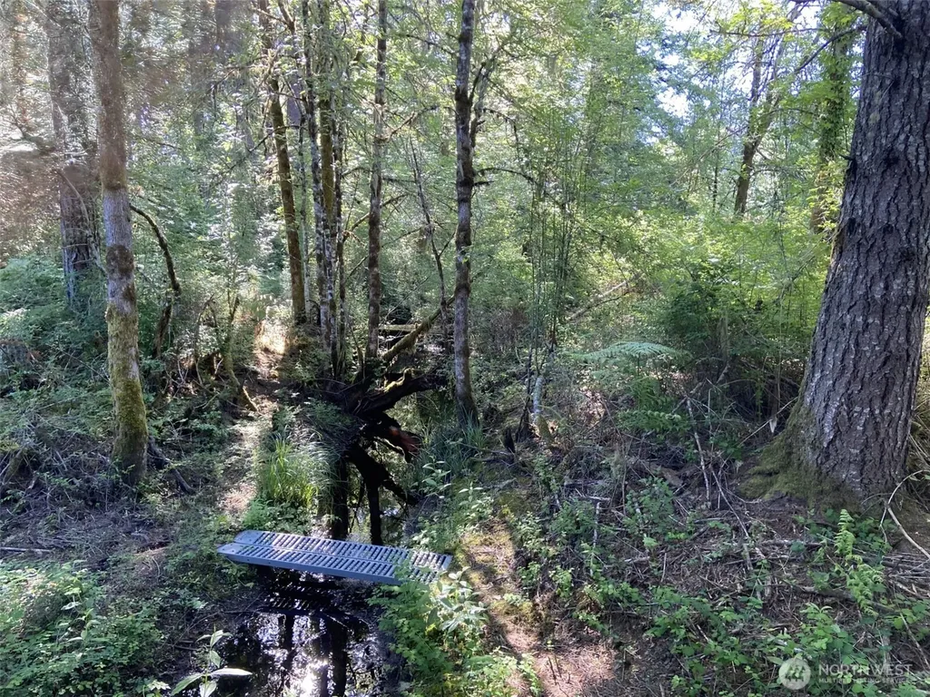 6847 Libby Road NE Olympia WA 98506