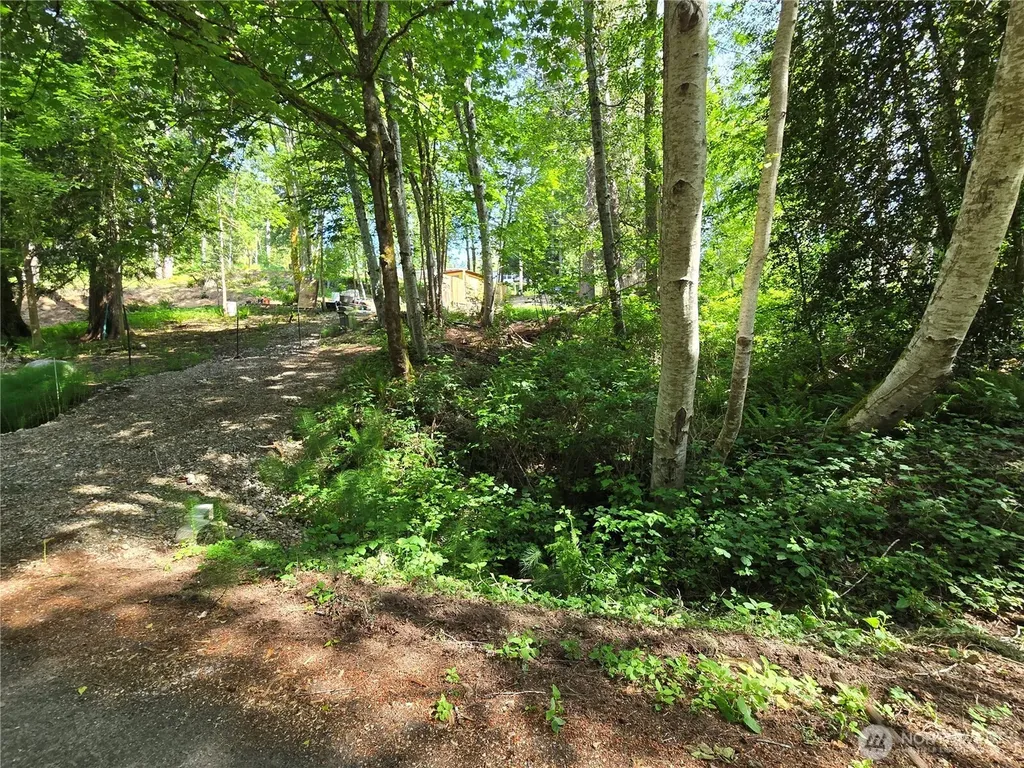 0 E Panorama Drive Shelton WA 98584