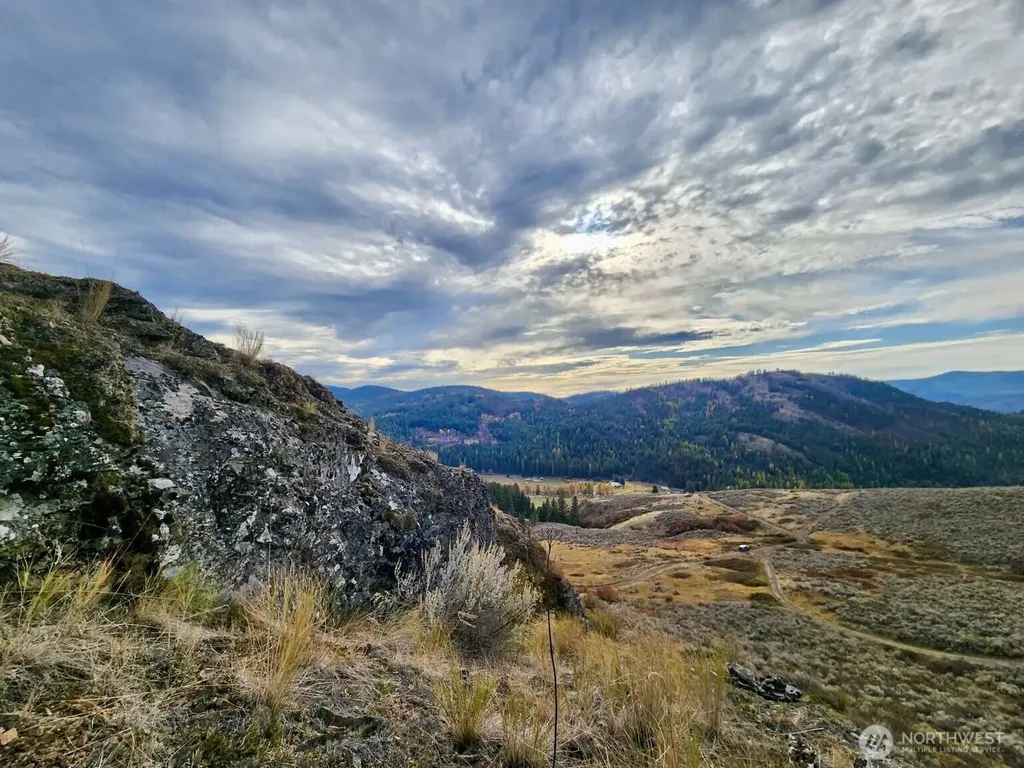48 Oleander Road Republic WA 99166