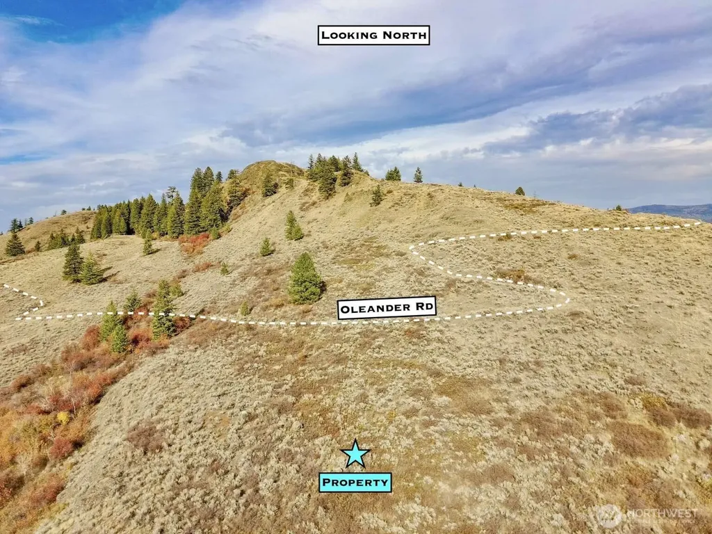 48 Oleander Road Republic WA 99166