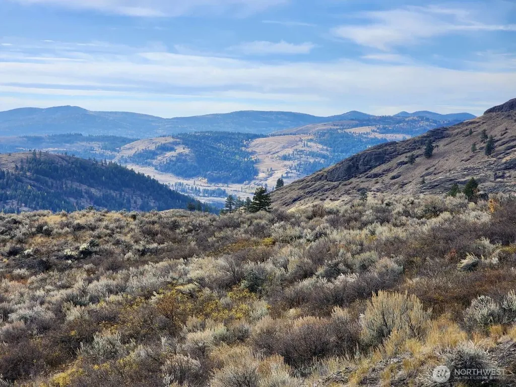 48 Oleander Road Republic WA 99166