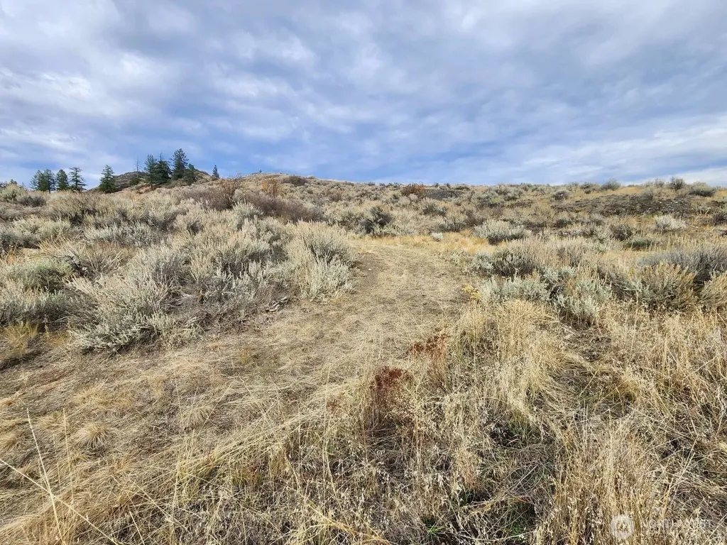 48 Oleander Road Republic WA 99166