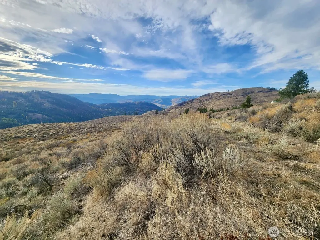 48 Oleander Road Republic WA 99166