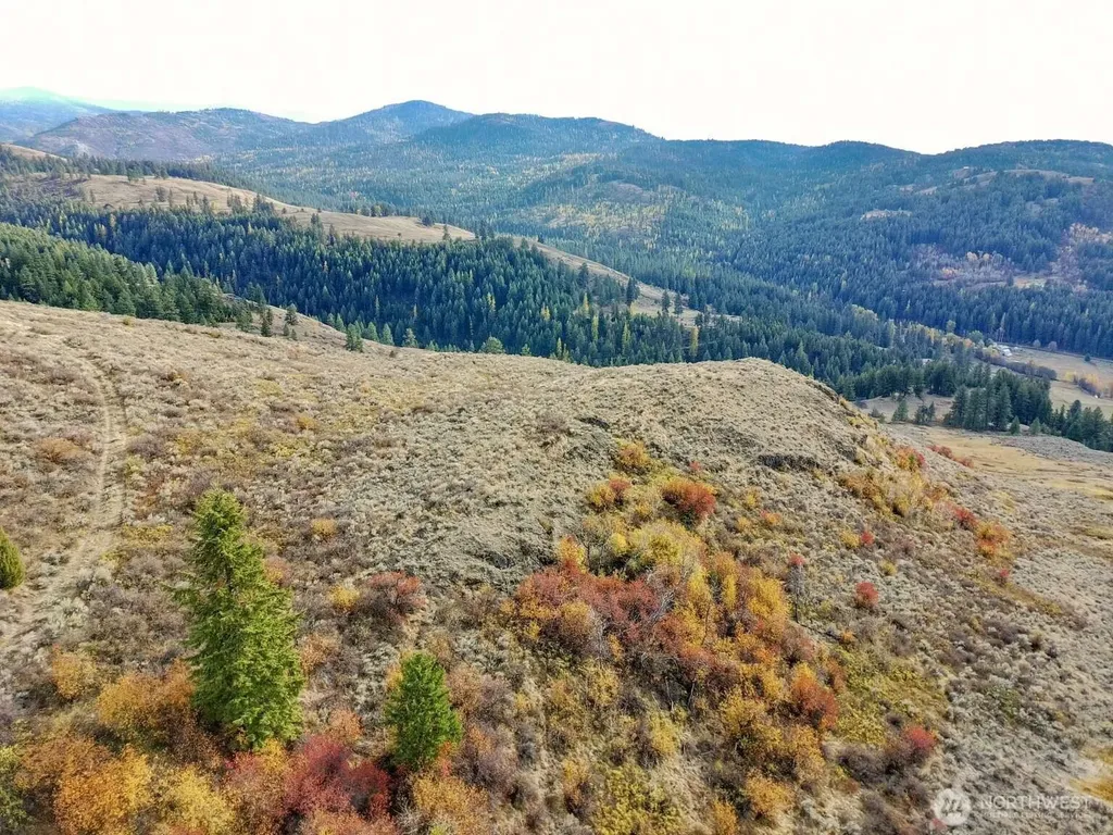 48 Oleander Road Republic WA 99166