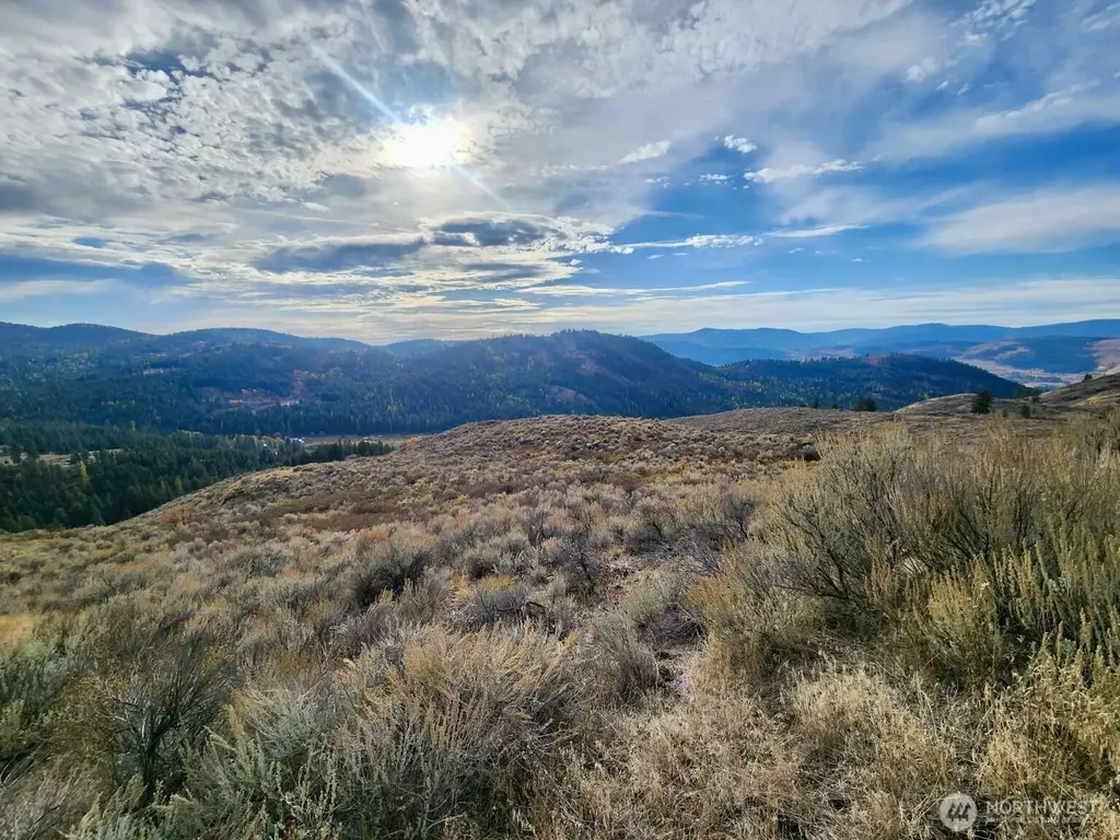 48 Oleander Road Republic WA 99166